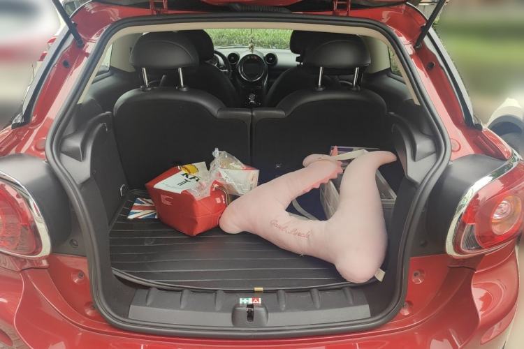 Used MINI Paceman 2014 1.6T COOPER S ALL4 Trunk