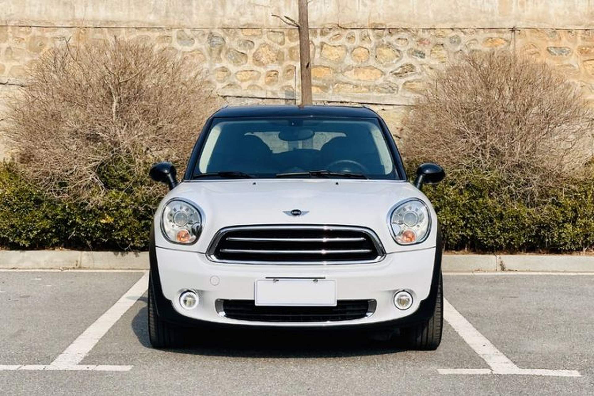 Used MINI Paceman 2014 1.6L COOPER Exterior 2