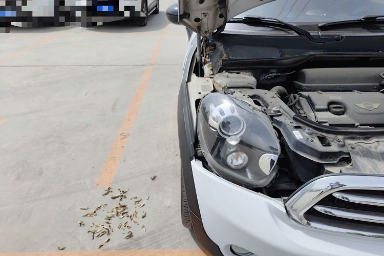 Used MINI Paceman 2014 1.6T COOPER ALL4 Right Front Headlight