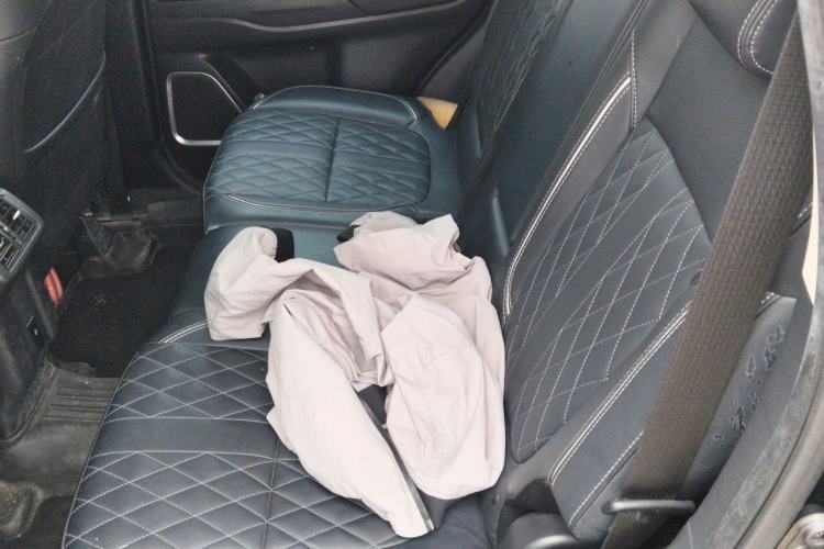 Used Mitsubishi Outlander 2020 2.4L 4x4 Zhi Xiang Edition 7-Seater Left Rear Seat