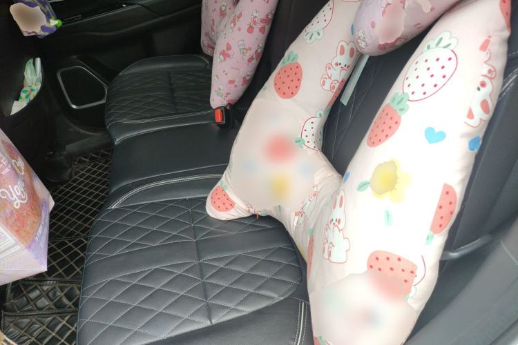 Used Mitsubishi Outlander 2020 2.4L 4x4 Zhi Xiang Edition 5 Seats Left Rear Seat