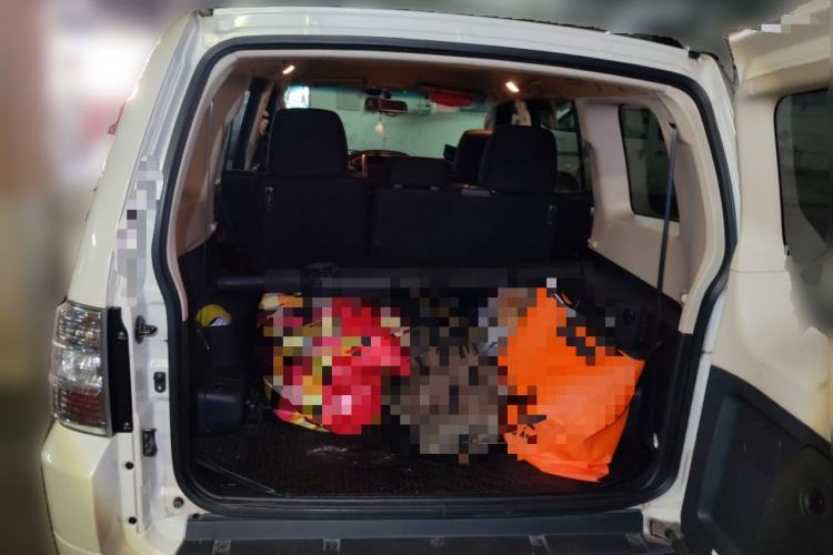 Used Mitsubishi Pajero  Trunk