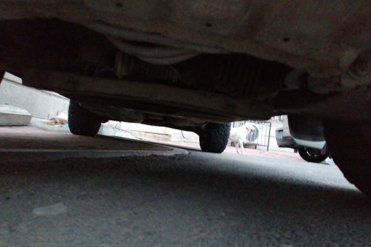Used Mitsubishi Pajero 2011 V73 3.0L MT GL Chassis Front