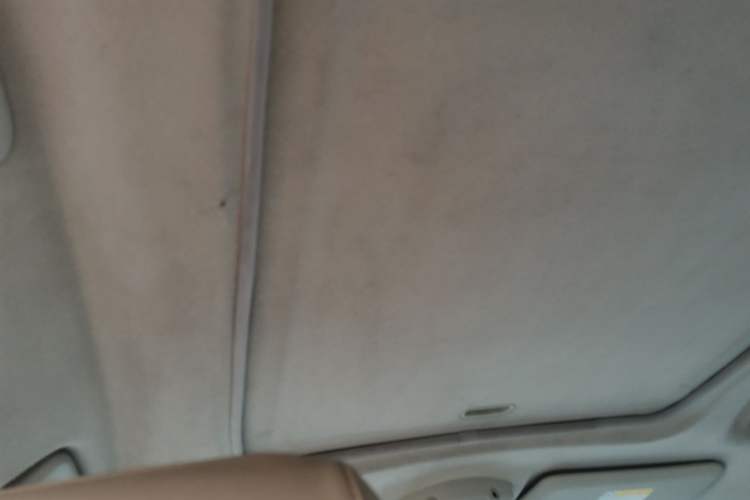 Used Mitsubishi Pajero 2012 3.0L Luxury Edition Headliner