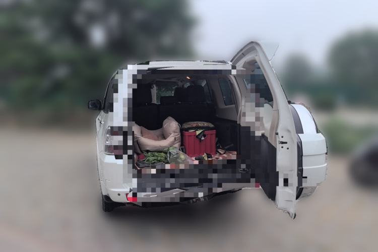 Used Mitsubishi Pajero 2014 3.0L Elite Upgrade Edition Trunk