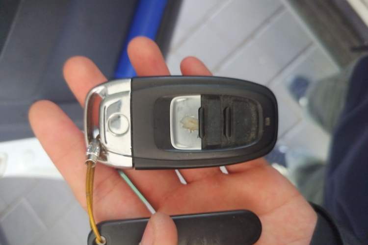 Used Mitsubishi Pajero 2016 3.0L Automatic Standard Version China IV Standard Vehicle Key