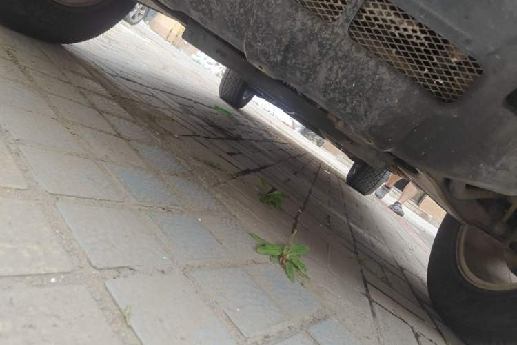Used Mitsubishi Pajero  Chassis Front