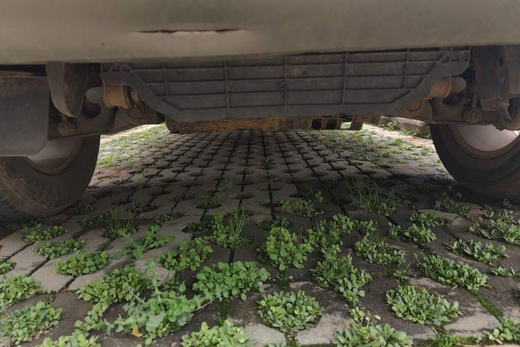 Used Mitsubishi Pajero 2019 3.0L Automatic Standard Edition Chassis Front