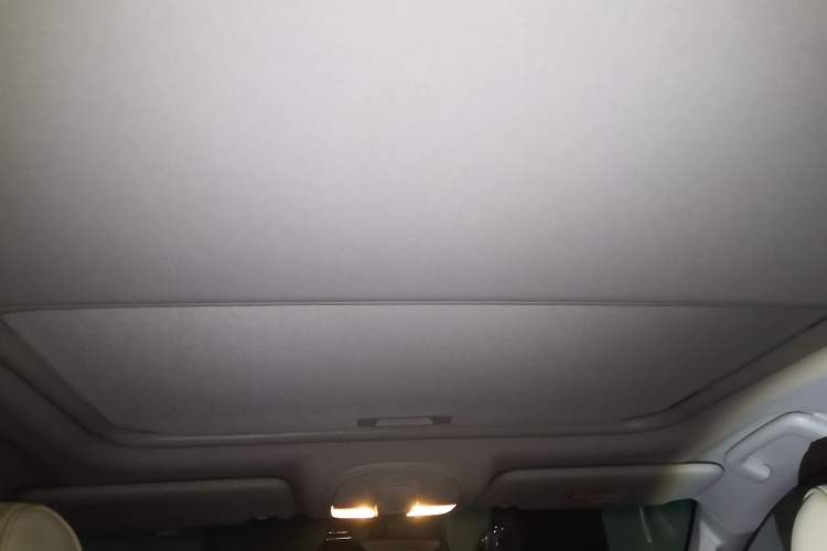 Used Mitsubishi Pajero 2019 3.0L Automatic Standard Edition Headliner