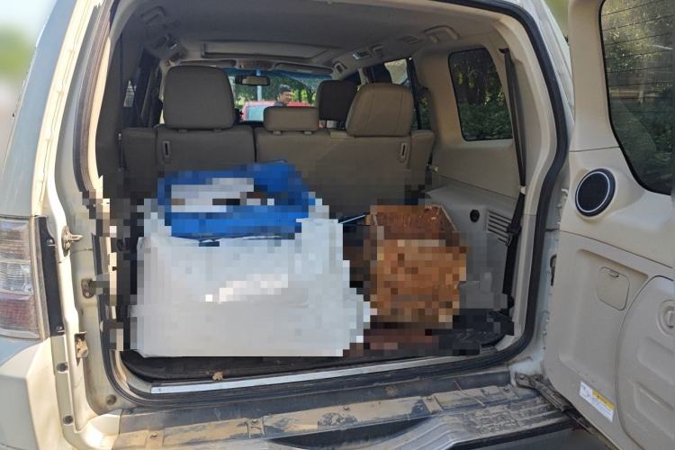 Used Mitsubishi Pajero  Trunk