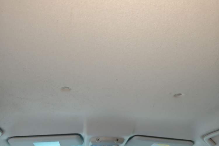 Used Mitsubishi Pajero 2020 3.0L Automatic Luxury Off-Road Version Headliner