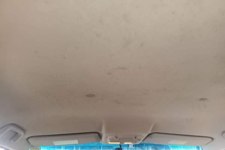 Used Mitsubishi Pajero 2020 3.0L Automatic Luxury Off-Road Version Headliner
