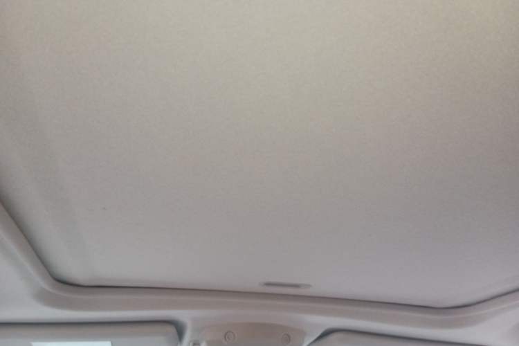 Used Mitsubishi Pajero  Headliner