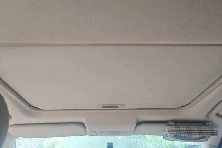 Used Mitsubishi Pajero Sport 2013 3.0L Automatic Two-Wheel Drive Luxury Edition Headliner