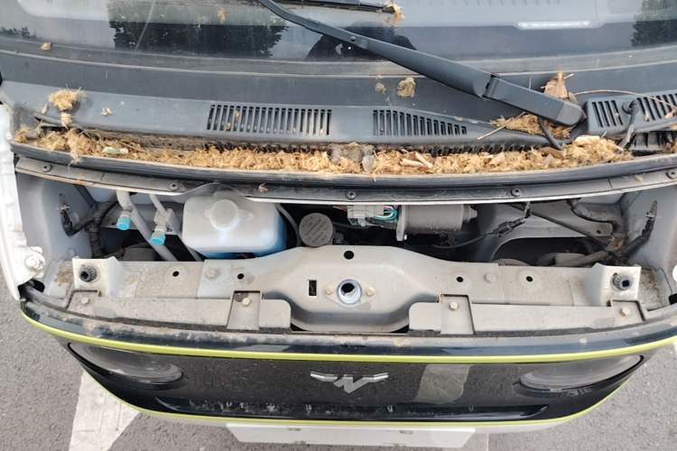 Used Neomor D02 2023 120km Flatbed Comfort Version Engine Bay