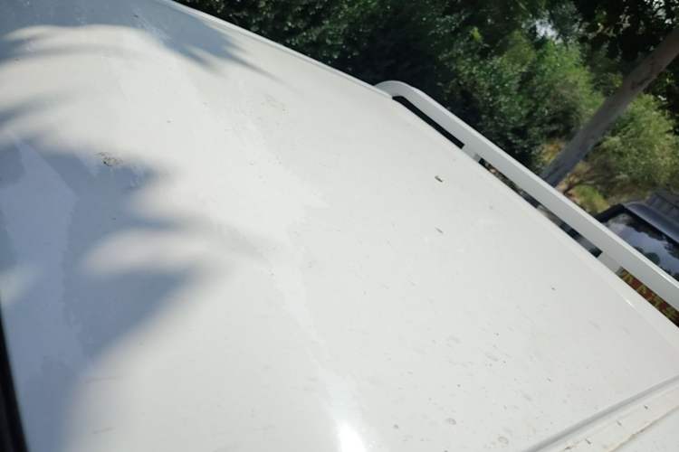 Used Neomor D02 2023 120km Flatbed Comfort Version Roof