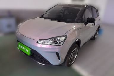 Used NETA AYA 2023 401