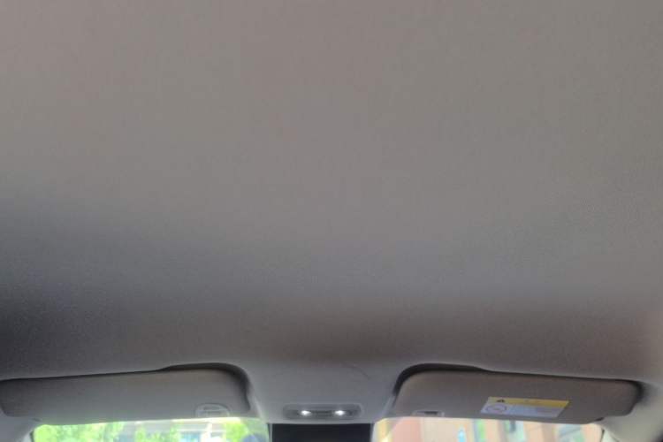 Used NETA AYA 2023 318 Lite Headliner