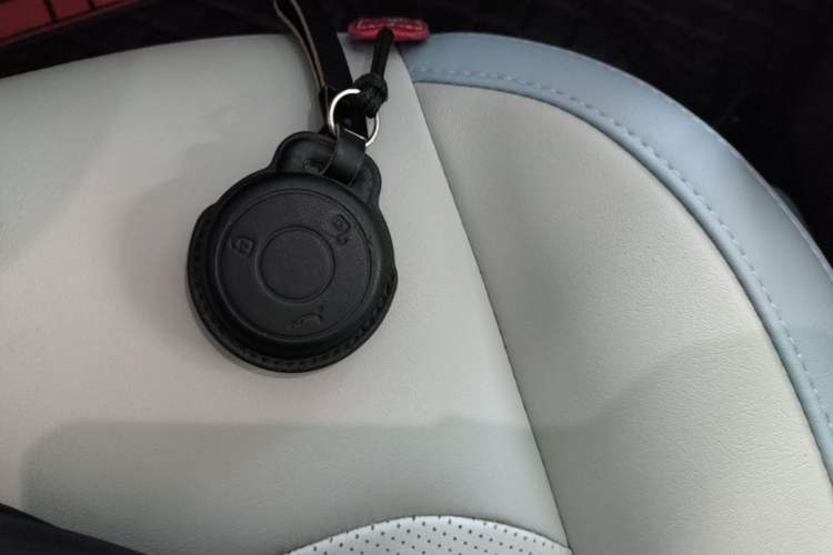 Used NETA AYA 2023 401 Lite Interior 1