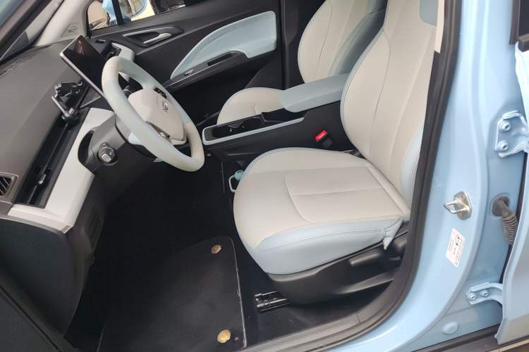 Used NETA AYA 2023 318 Lite Left Front Seat