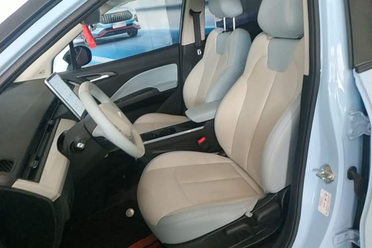 Used NETA AYA 2023 401 Left Front Seat