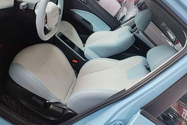 Used NETA AYA 2023 401 Left Front Seat