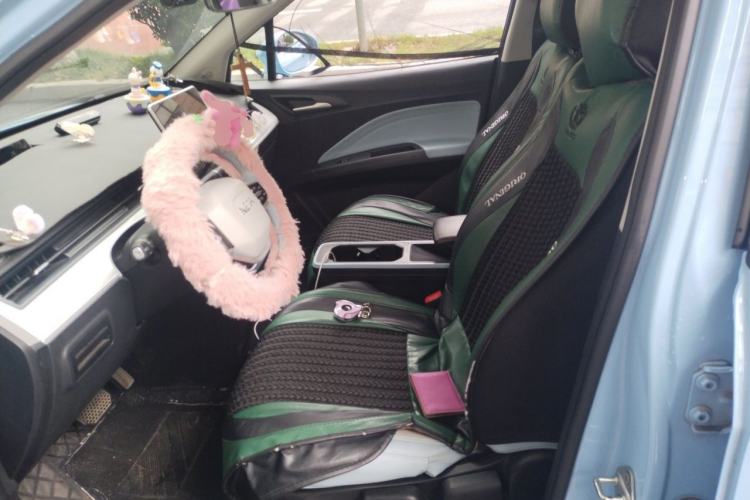 Used NETA AYA 2023 401 Lite Left Front Seat