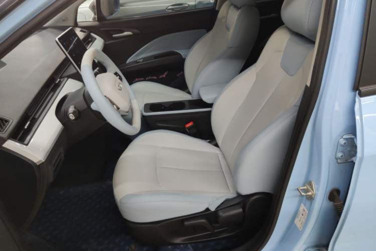 Used NETA AYA 2023 401 Lite Left Front Seat