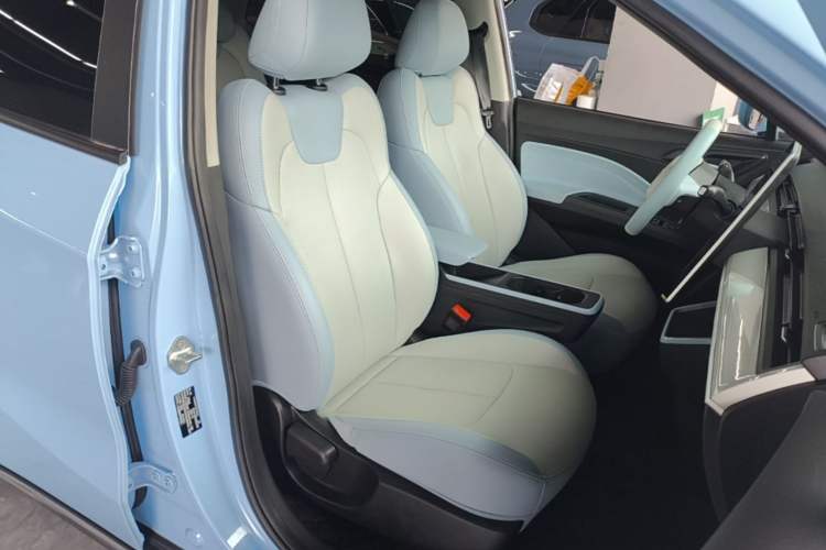 Used NETA AYA 2023 401 Lite Right Front Seat