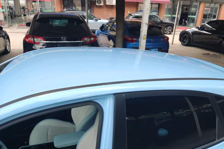 Used NETA AYA 2023 318 Lite Roof