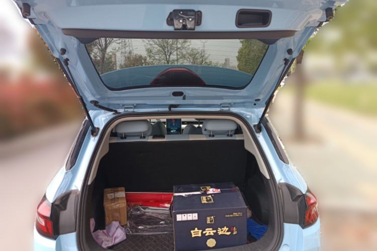 Used NETA AYA 2023 401 Lite Trunk