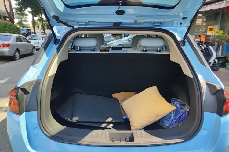 Used NETA AYA 2023 318 Lite Trunk