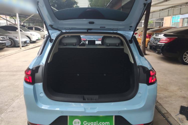 Used NETA AYA 2023 318 Lite Trunk