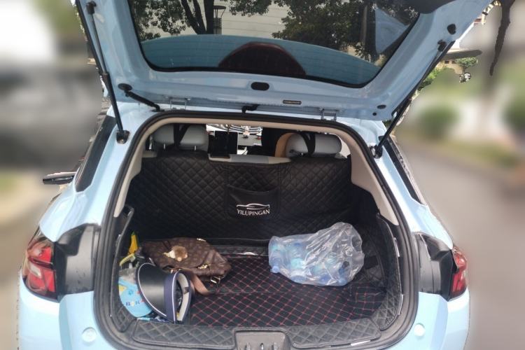 Used NETA AYA 2023 401 Lite Trunk