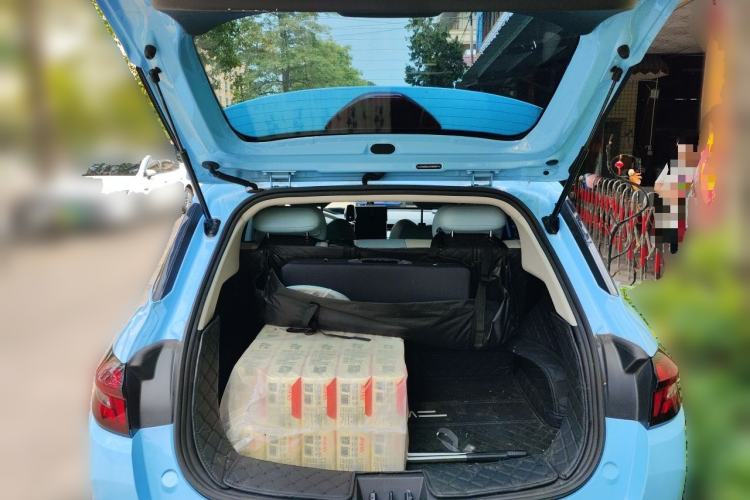 Used NETA AYA 2023 401 Lite Trunk