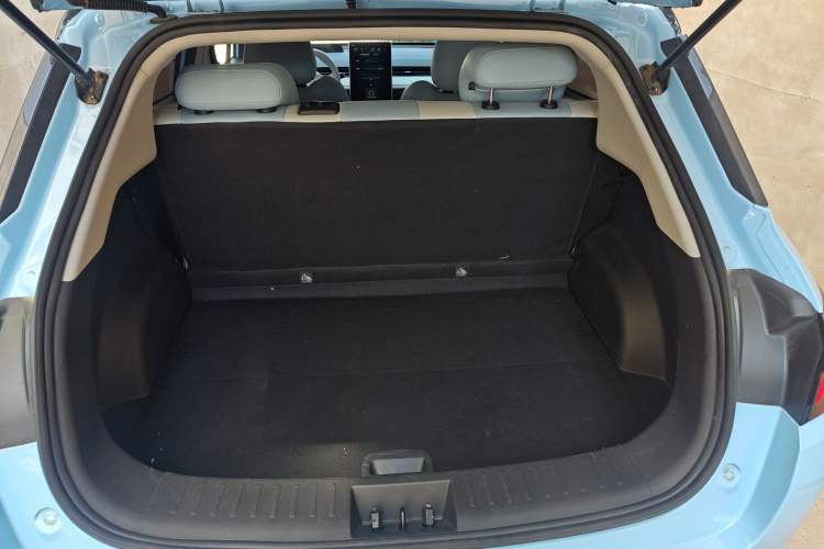 Used NETA AYA 2023 401 Lite Trunk