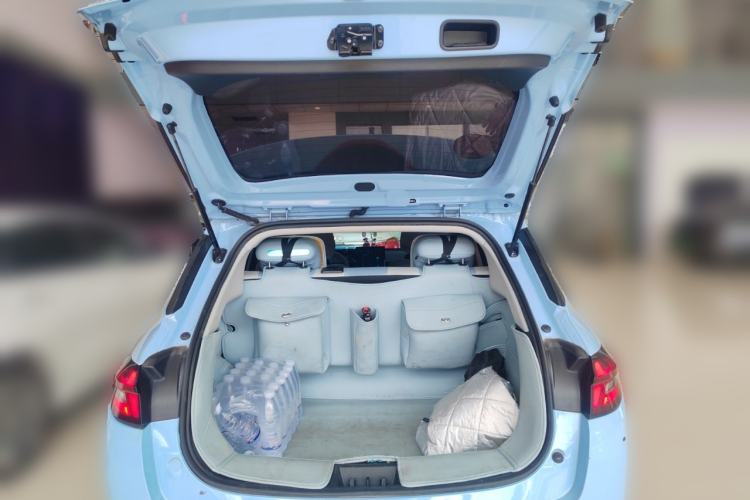 Used NETA AYA 2023 401 Lite Trunk