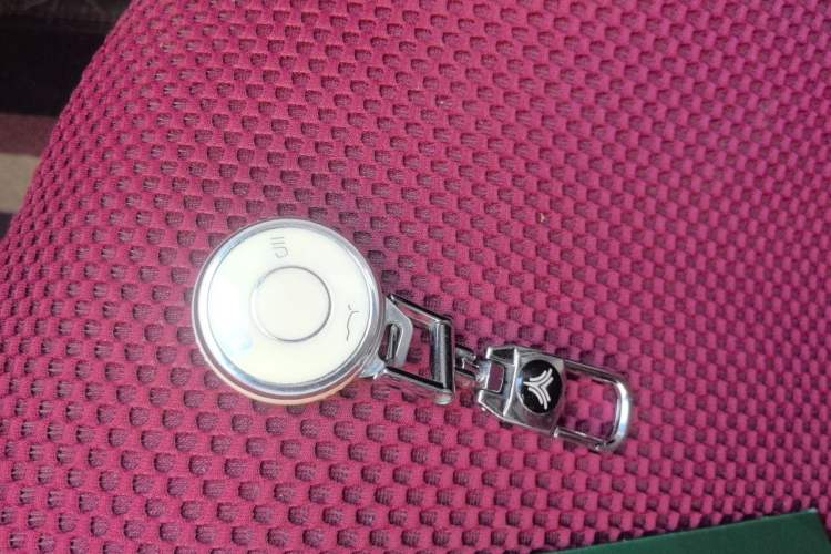 Used NETA AYA 2023 318 Lite Vehicle Key