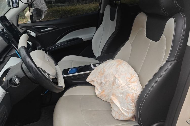 Used NETA AYA 2023 Revised Version 401 Lite Left Front Seat