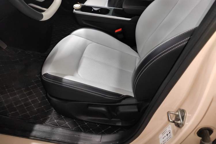 Used NETA AYA 2023 318 Lite Left Front Seat