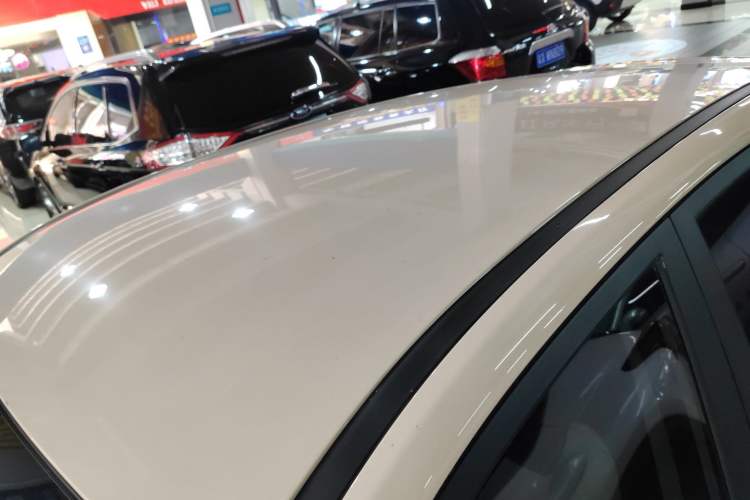 Used NETA AYA 2023 318 Lite Roof