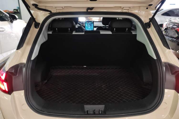 Used NETA AYA 2023 318 Lite Trunk