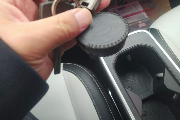 Used NETA AYA 2023 401 Vehicle Key