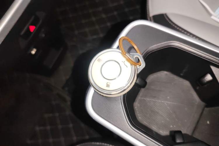 Used NETA AYA 2023 318 Lite Vehicle Key