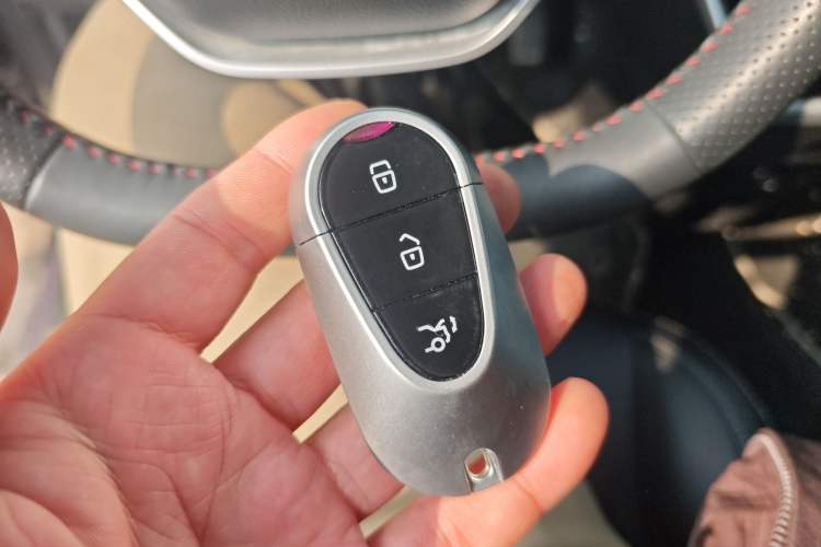 Used NETA AYA 2023 401 Lite Interior 1