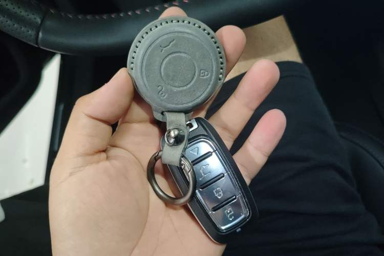 Used NETA AYA 2023 318 Lite Interior 1