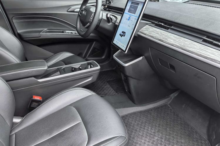 Used NETA AYA 2023 318 Lite Interior 9