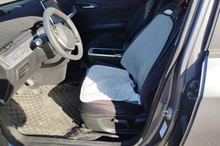 Used NETA AYA 2023 318 Lite Left Front Seat