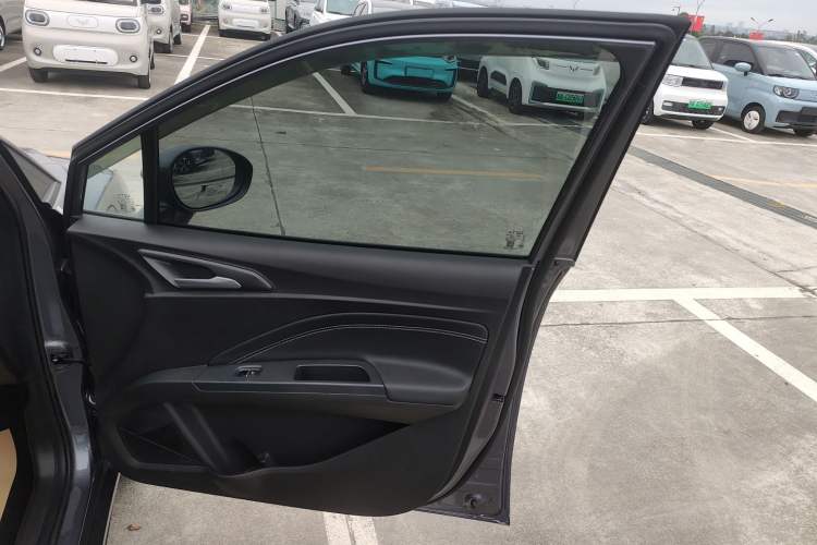 Used NETA AYA 2023 401 Lite Right Front Door Interior