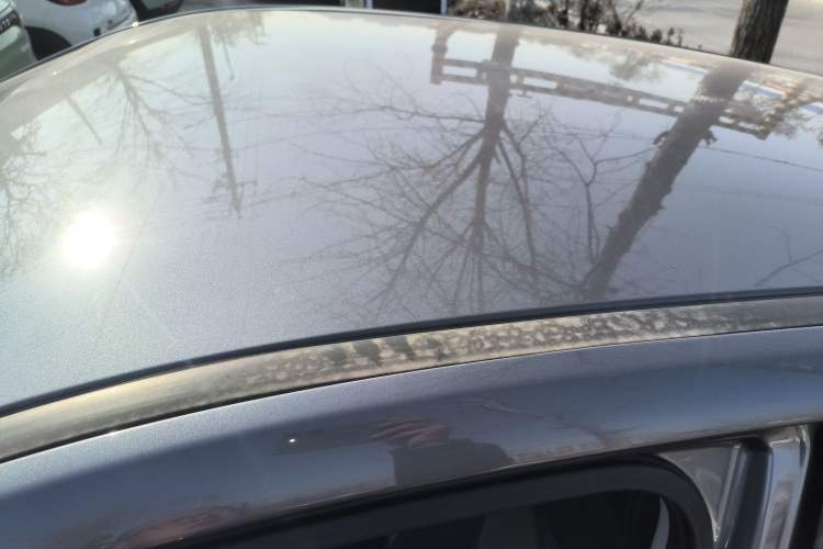 Used NETA AYA 2023 318 Lite Roof